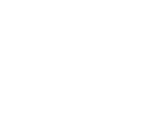 logo-Primalscapes-white