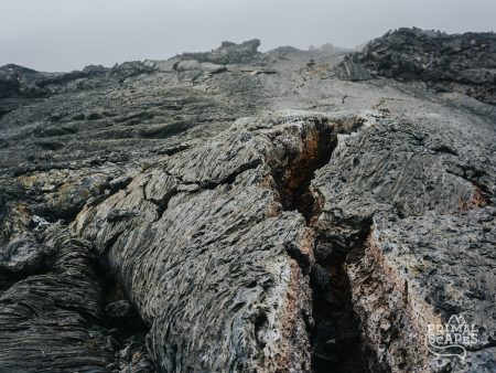DSC05634
