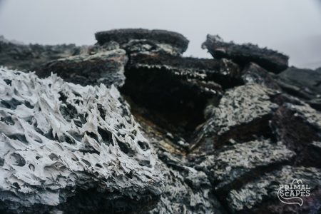 DSC05637