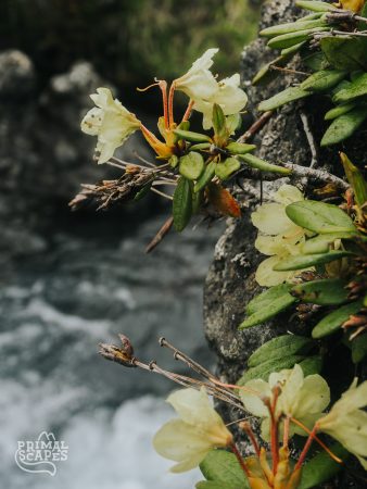 DSC05707