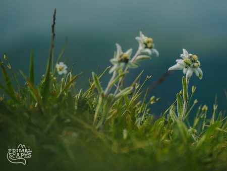 P1130224