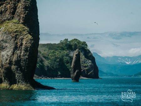 P1130609