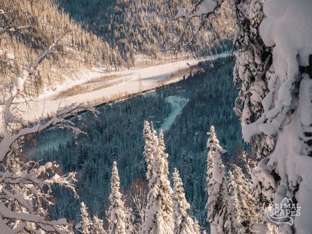 Luzhba18Powder-77-2-2