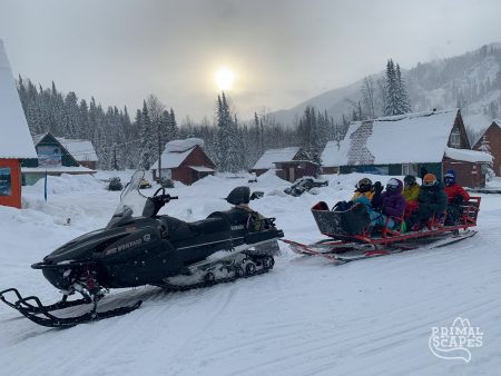 julie pritchard – IMG_0480