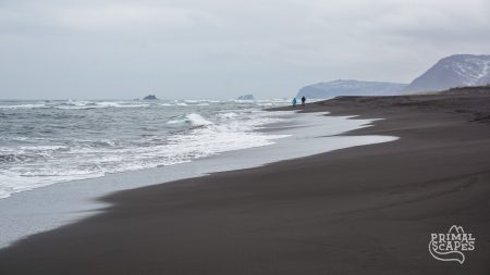 DSC05460