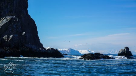 Sailing5