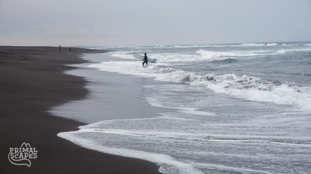 Surfing