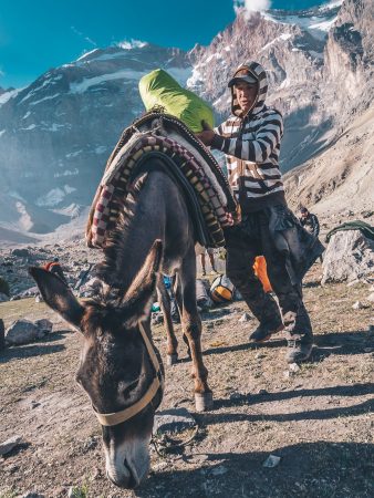 Pack donkeys make our trek way more enjoyable!