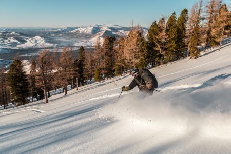 IMG_4225_1000