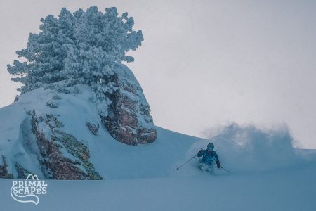 Feathery powder in Ridder, early Jnauary