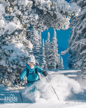 skiing deep powder through snow plastered fir trees in Kazakhstan